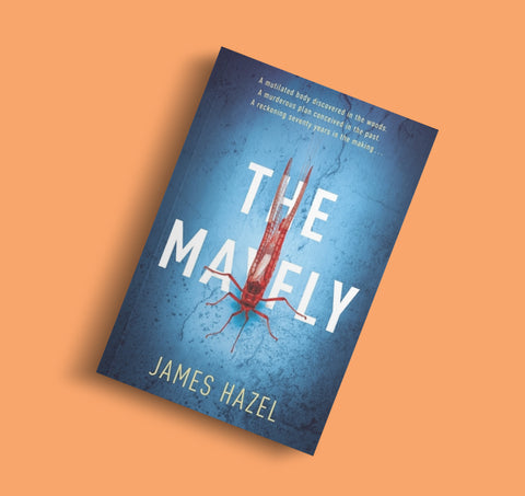 The Mayfly by James Hazel